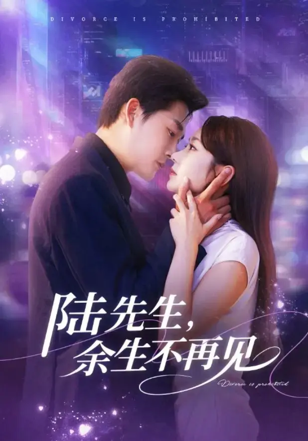 陆先生余生不再见全集88集在线观看_高清未删减完整版免费播放_4K超清画质都市爱情剧_网盘资源下载分享