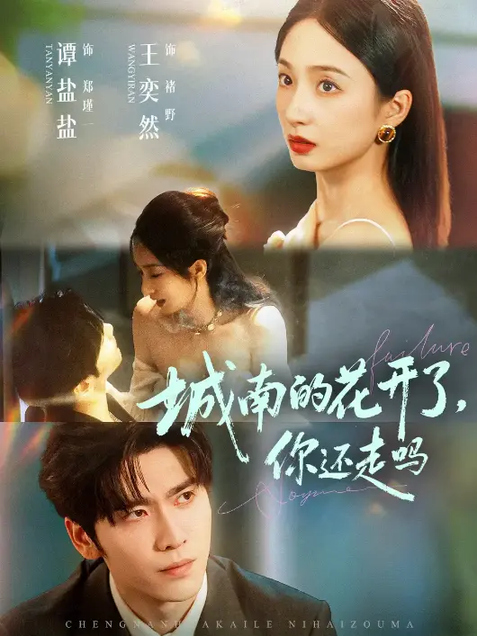 《城南的花开了，你还走吗》84集全_王奕然谭盐盐主演短剧_1080P超清画质在线观看_百度云/夸克网盘资源免费下载