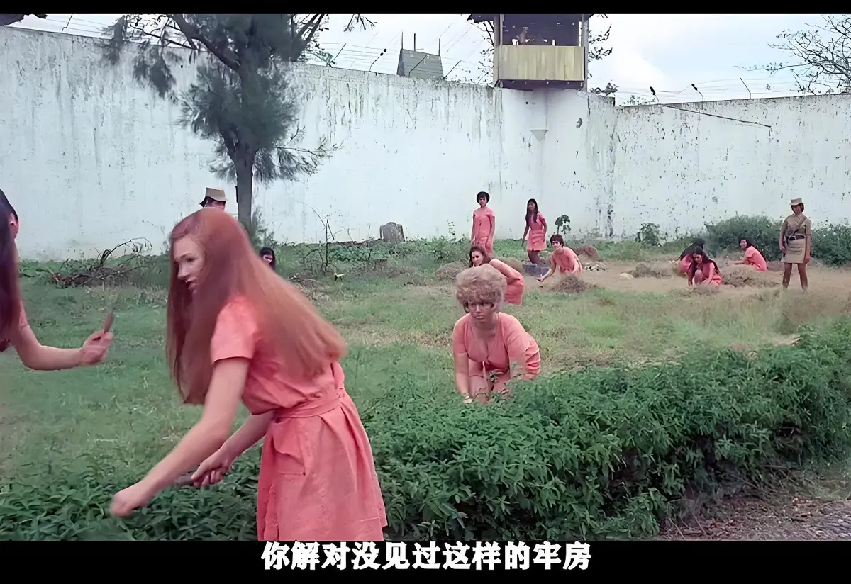 玩偶屋电影完整版在线观看-高清修复画质1080P-中文字幕未删减资源