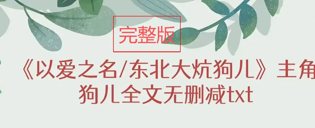 《东北大炕》-资源截图