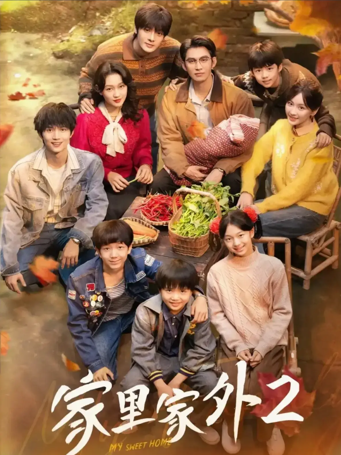 《家里家外2》短剧高清全集免费看_家庭伦理剧在线观看_1080P超清画质_手机电脑均可播放_久播影院