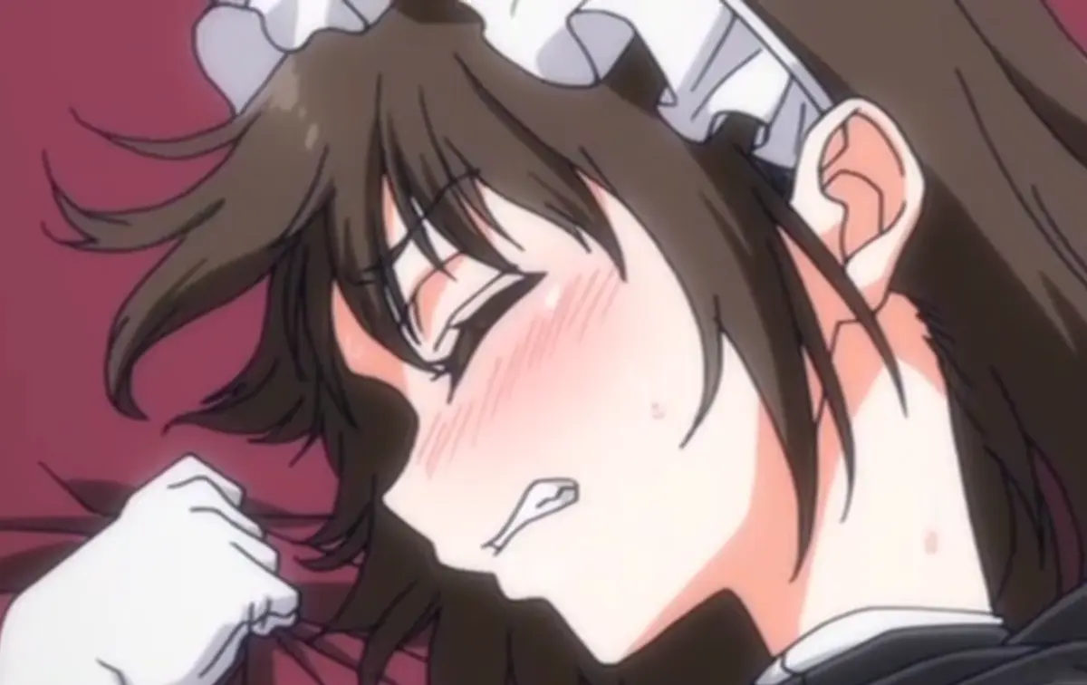 《メイド教育 没落贵族 瑠璃川椿2》蓝光画质在线播放_女仆教育动漫全集高清资源_没落贵族琉璃川衍生作品免费观看_完整版1-2季内容一键获取