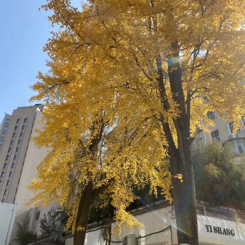 《女仆教育琉璃川2》未删减全集4K超清在线观看-女仆教育琉璃川2磁力链百度云双端下载-免VIP无广告纯净播放完整收录