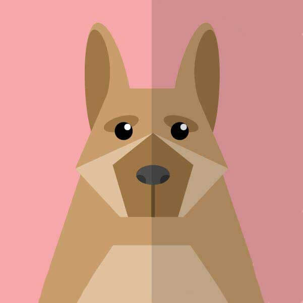 《虽然不是自己的菜，与讨厌姐姐的超契合》全集免费在线看 - 虽然不是自己的菜无删减版高清资源 - 讨厌姐姐的超契合剧情完整版 - 1080P超清画质播放