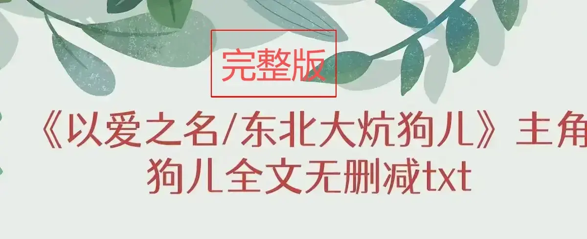 《东北大炕》-资源截图