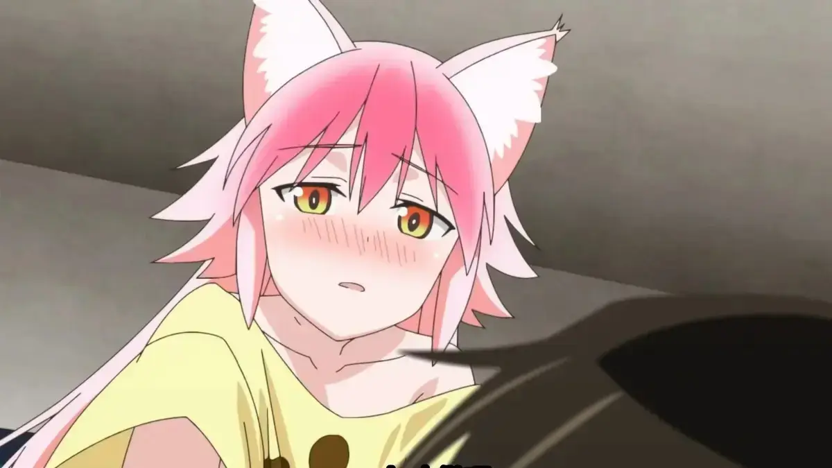 《兽娘通信》-资源截图