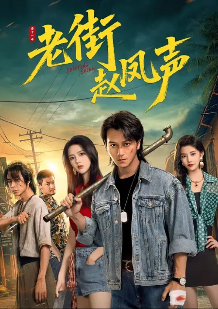 《老街赵凤声》-资源截图