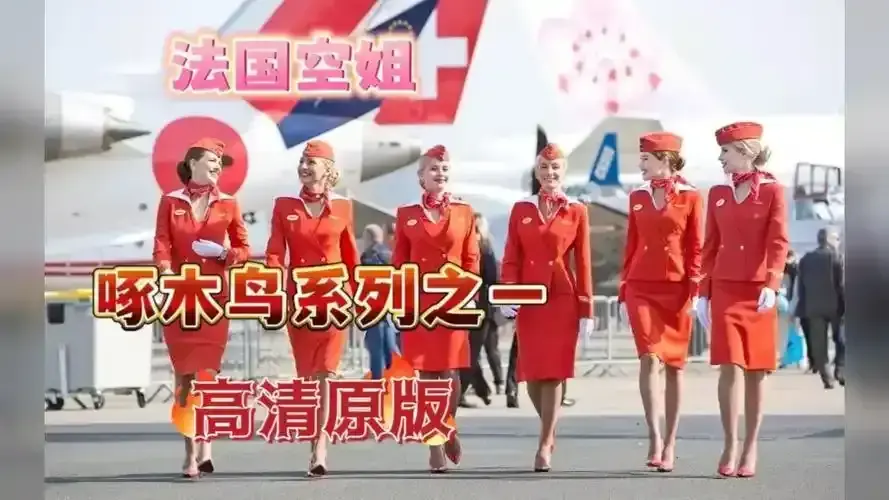 《法国空姐 2》无删减全集中文版-法国空姐2高清完整版免费观看-全网同步更新无广告版-法国空姐2HD1080P超清正版资源